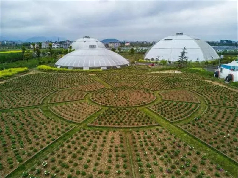 花漾星球太空農(nóng)場(chǎng)(圖11)